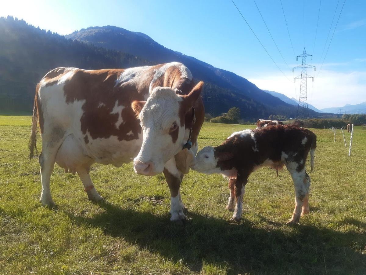 Bauernhof Oberloeffele Appartement Jenig Buitenkant foto